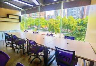 厦门天津鼠尾胶原