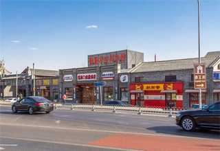 锦江区容易养的盆栽植物