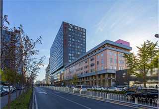 徐州震动式金属分离器生产厂家